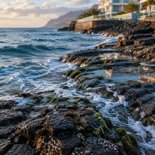 Hotel Madeira Vidamar: refined oceanfront stay on Estrada Monumental