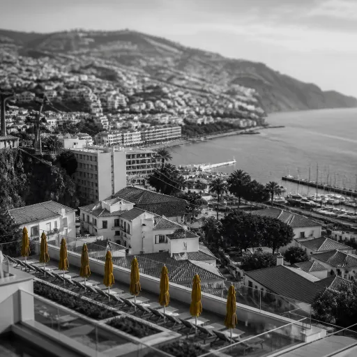 Elegant ways to enjoy the best things to do in Funchal, Madeira